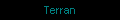 Terran