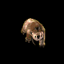 icritter.gif (40935 bytes)