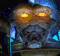 p-arbiter.gif (52070 bytes)