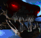 Defiler