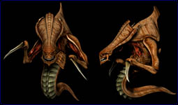 ZERG Biyoloji dersi imaj�