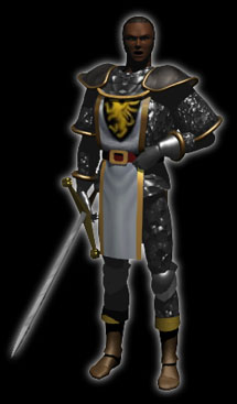 paladin.jpg (17692 bytes)